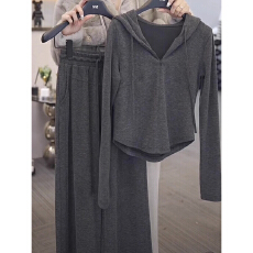 批发潮流休闲运动套装女<b class='q'>春</b>秋季2025新款宽松连帽卫衣高档阔腿裤两件套