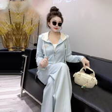 批发<b class='q'>春</b>秋季套装阔腿裤高级感休闲时尚两件套女装2025年运动服卫衣连帽