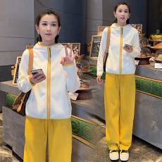 批发新款减龄时尚休闲套装女装连帽<b class='q'>春</b>秋季卫衣2025年洋气两件套运动裤