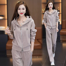 批发两件套新款连帽女装时尚休闲<b class='q'>春</b>秋季2025年卫衣阔腿裤减龄运动套装