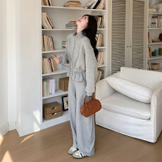 批发时尚高级感新款休闲纯色女装卫衣<b class='q'>春</b>秋季2025年运动套装简约两件套