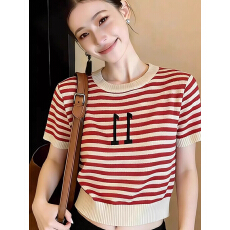 批发复古条纹短袖T恤女<b class='q'>夏</b>季圆领冰丝针织衫设计感小众显瘦短款上衣ins
