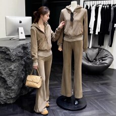 批发【大量现货】盐系<b class='q'>休闲</b>运动<b class='q'>套装</b>女秋冬高级感加绒加厚宽松卫衣长裤