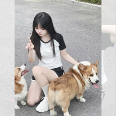 批发休闲纯欲<b class='q'>运动服</b>套装女夏季纯棉小个子修身显瘦短袖短裤时尚两件套