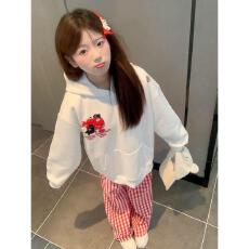 批发【云朵绒复合】薄款320g,厚款400g <b class='q'>甜美</b>刺绣苹果猫咪连帽卫衣