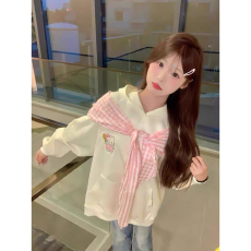 批发【云朵绒复合】薄款320g,厚款400g 格子披肩绣花连帽卫衣女