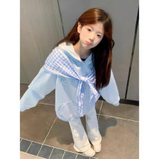 批发【云朵绒复合】薄款320g,厚款400g 格子披肩绣花连帽卫衣女