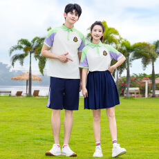批发校服套装中学生学院风毕业班服夏季<b class='q'>短袖</b>T恤高中生运动会合唱服装