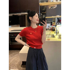 批发法式刺绣t恤女夏季新款麻花针织短袖绝美显瘦<b class='q'>小衫</b>奶系温柔风上衣