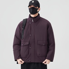 批发2025新款<b class='q'>男</b>士羽绒服 90白鸭绒新国标 已检测