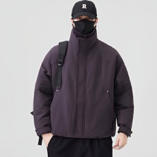 批发2025新款<b class='q'>男</b>士羽绒服 90白鸭绒新国标 已检测