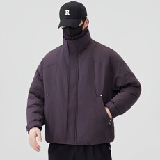 批发2025新款男士羽绒服 90白鸭绒新国标 已检测