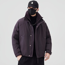 批发2025新款男士羽绒服 90白鸭绒新国标 已检测