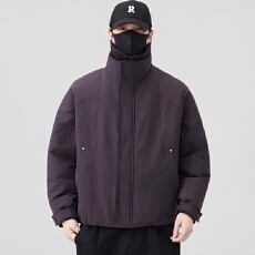 批发2025新款男士羽绒服 90白鸭绒新国标 已检测