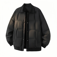 2025新款男士简约翻领羽绒服 90白鸭绒新国标