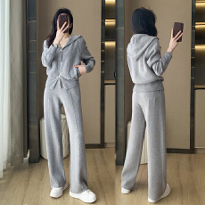 批发<b class='q'>欧洲站</b>气质高级感连帽卫衣套装秋季<b class='q'>新款</b>网红休闲灰色阔腿裤两件套