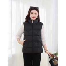 批发爆款妈妈装秋<b class='q'>冬</b>新款羽绒棉马甲背心立领坎肩百搭外穿马夹