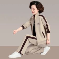 批发中年妈妈秋季洋气时髦两件套<b class='q'>中老年</b>运动服套装女春秋卫衣休闲外套