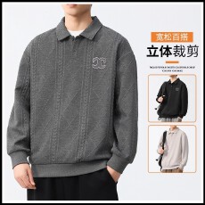 批发男士秋冬款<b class='q'>休闲</b>运动上衣重磅宽松翻领卫衣2025季新款长袖POLO衫