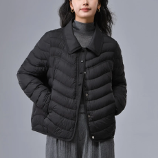 批发冬季新款休闲风翻领宽松型短款保暖时尚百搭羽绒服