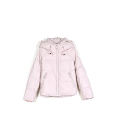 批发双口保暖防风<b class='q'>时尚</b><b class='q'>户外</b>短款连帽女士简约羽绒服