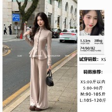 批发<b class='q'>秋</b>冬立领显瘦上衣阔腿长裤加绒两件套