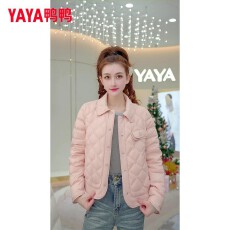 批发秋<b class='q'>冬</b>新款短款小个子时尚百搭薄款衬衫外套