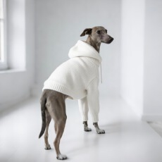 批发宠物服饰定制 狗狗运动针织<b class='q'>卫衣</b> 2026新款 面料柔软舒适