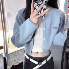 批发新款春秋季新款设计感蓝色开衫毛衣短款外套<b class='q'>针织</b>上衣小众女 优雅