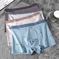 批发初中学生男士内裤高中生纯棉青少年抑菌男生平角裤透气大码四角裤