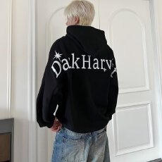 春秋季美式潮牌字母刺绣连帽卫衣男女宽松高级设计感情侣长袖上衣