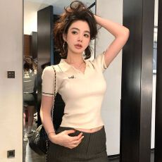 批发经典简约修身polo领冰丝针织衫女刺绣<b class='q'>夏</b>季新款显瘦百搭气质上衣女