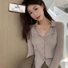 批发气质修身Polo翻领针织开衫女秋季别致V领毛衣打底衫内搭长袖上衣