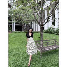 批发Laareetoo  法式复古波点半身裙女夏季中长款裙子气质显瘦a字裙