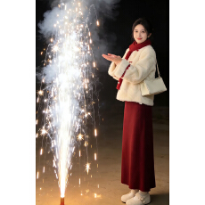 批发2026新款冬装搭配一整套贵气内搭<b class='q'>连衣裙</b>子女早春季高级感外套长裙