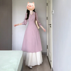批发法式温柔风紫色翻领<b class='q'>衬衫</b><b class='q'>连衣裙</b>女2026年春季新款气质收腰显瘦长裙