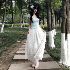 批发韩系巨好看穿搭一整套2026新款蓝色上衣女夏季蕾丝蛋糕裙两件套装