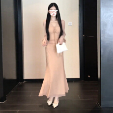 批发法式泡泡长袖连衣裙子女秋季2026新款巨好看修身显瘦收腰包臀长裙