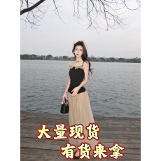 批发木子李的李烟纱垂影温柔风气质<b class='q'>上衣</b>高腰百褶多层<b class='q'>网纱</b>半身裙套装