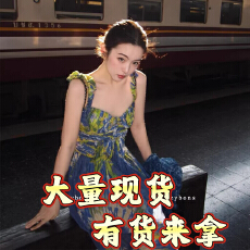 批发度假连衣<b class='q'>裙</b>女高端精致名媛气质生日宴会<b class='q'>礼服</b>重工褶皱法式印花长<b class='q'>裙</b>