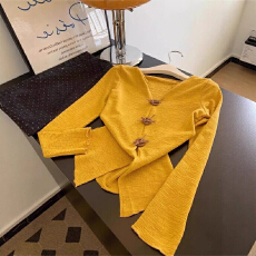 批发<b class='q'>大码</b>法式气质V领长袖T恤女2025秋季新款宽松显瘦<b class='q'>时尚</b>洋气开叉上衣