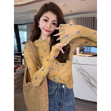 批发韩国chic春夏法式碎花方领网纱<b class='q'>衬衣</b>女纯欲风辣妹修身<b class='q'>长袖</b>短款上衣