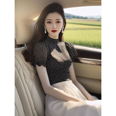 批发法式轻奢<b class='q'>波点</b>泡泡短袖<b class='q'>衬衫</b>女设计感小众夏季独特别致修身绝美上衣