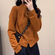 批发韩系简约立领拉链长袖<b class='q'>卫衣</b><b class='q'>开衫</b>女2026秋冬新款双腰线显瘦百搭上衣