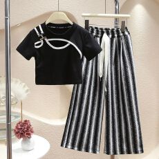批发<b class='q'>女</b><b class='q'>童</b>套装春夏季新款儿童洋气时髦短袖<b class='q'>中大</b>童复古风阔腿裤两件套潮