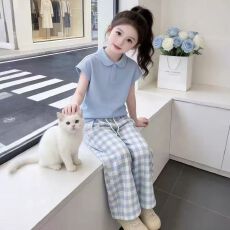 批发<b class='q'>女</b>童<b class='q'>夏</b>季<b class='q'>套装</b>新款洋气Polo短袖T恤格子裤两件套儿童薄款透气夏装