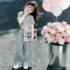 批发<b class='q'>女</b><b class='q'>童</b>套装夏季短袖T恤2026新款韩版上衣女孩休闲裤夏装潮酷两件套