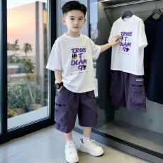 批发<b class='q'>男</b>童时尚<b class='q'>短袖套</b>装夏季新款2026新款中大童潮流炸街痞帅洋气工装裤