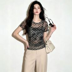 批发官拍<b class='q'>大码</b>女装时尚设计感波点短袖T恤夏季洋气百搭圆领双层网纱女