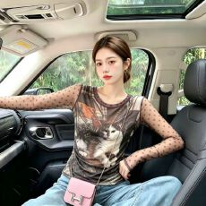 批发官拍<b class='q'>大码</b><b class='q'>胖</b>小猫印花双层网纱长袖t恤女夏季新款显瘦绝美打底上衣